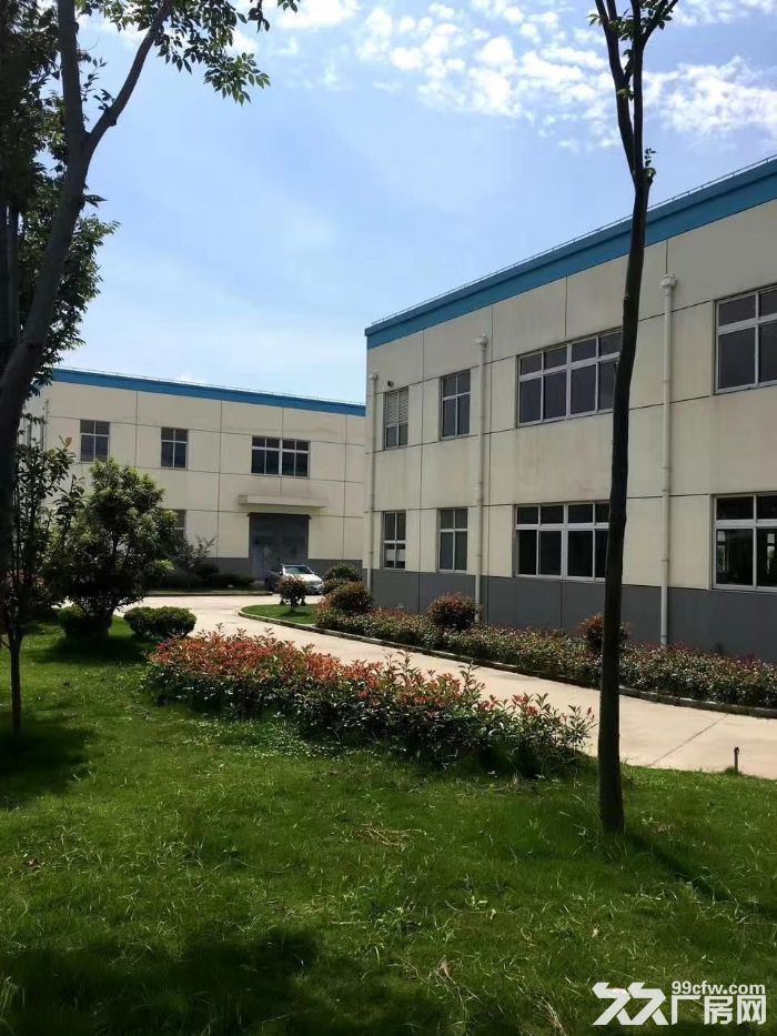 (出租) 104地块个人花园式单层厂房,层高6米,大小可分割