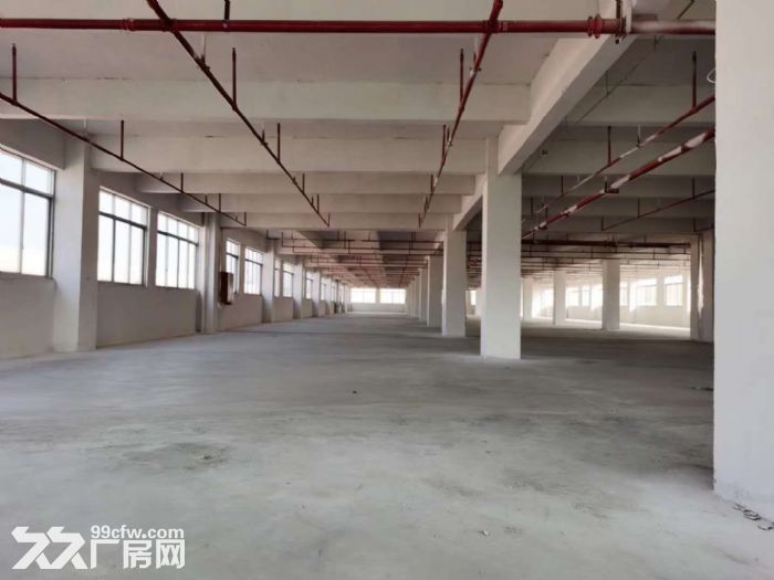 鹤山工业新城独院1至2层标准框架结构厂房4000平方招租 - 2