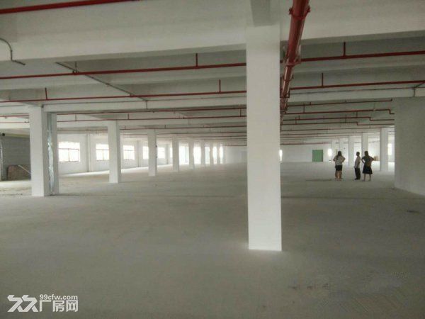 惠城区马安新乐工业区厂房1800平方出租 - 2