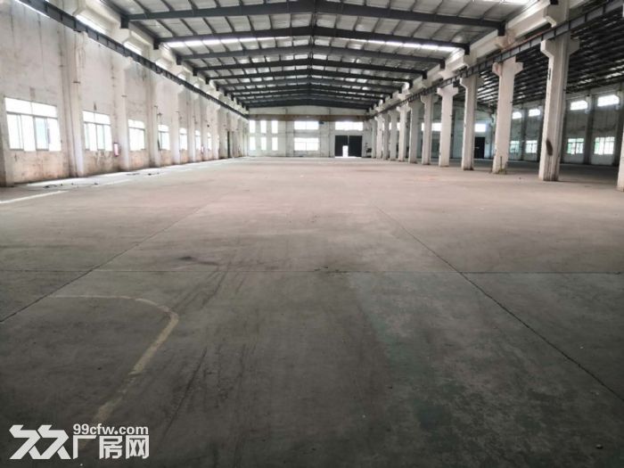 台山工业新城独院单一层厂房1000平方招租 - 5