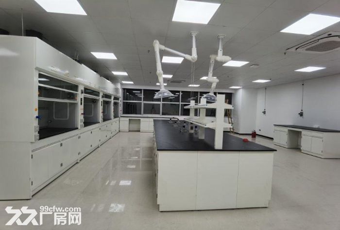 金桥104板块 有环评 可研发 小试,中试等实验室 检测等 - 5