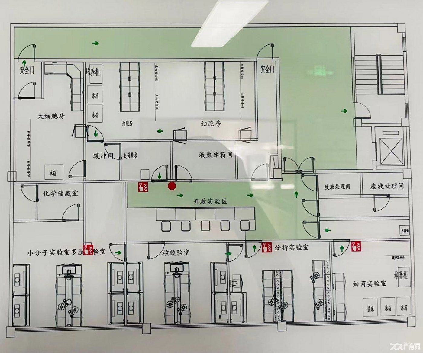 金桥精装!2百平理化500平生物分析,毛坯招器械芯片智能材料能源 - 3