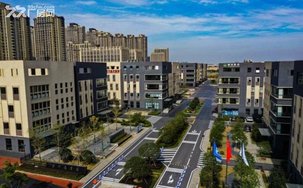 独立产权 赠送车位 赠送空中花园 市中心 富邦产业园 - 7