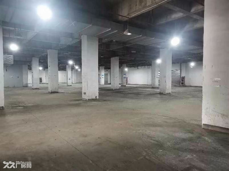 房东直租:嘉定区江桥镇厂房出租,大小面积均有,可以分割!交通方便 - 5