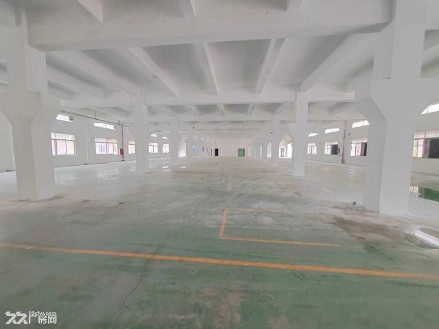 松岗罗田高速标准独院5500平方出租 - 3