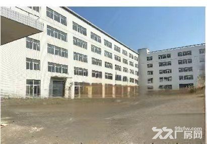 珠海金湾红旗独院厂房占地56亩建筑18000平方大量空地 - 6