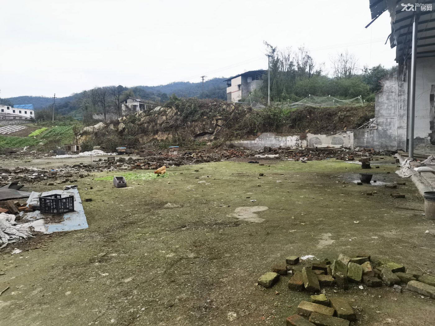九龙坡区含谷镇崇兴村6社200厂房仓库800平米场地出租