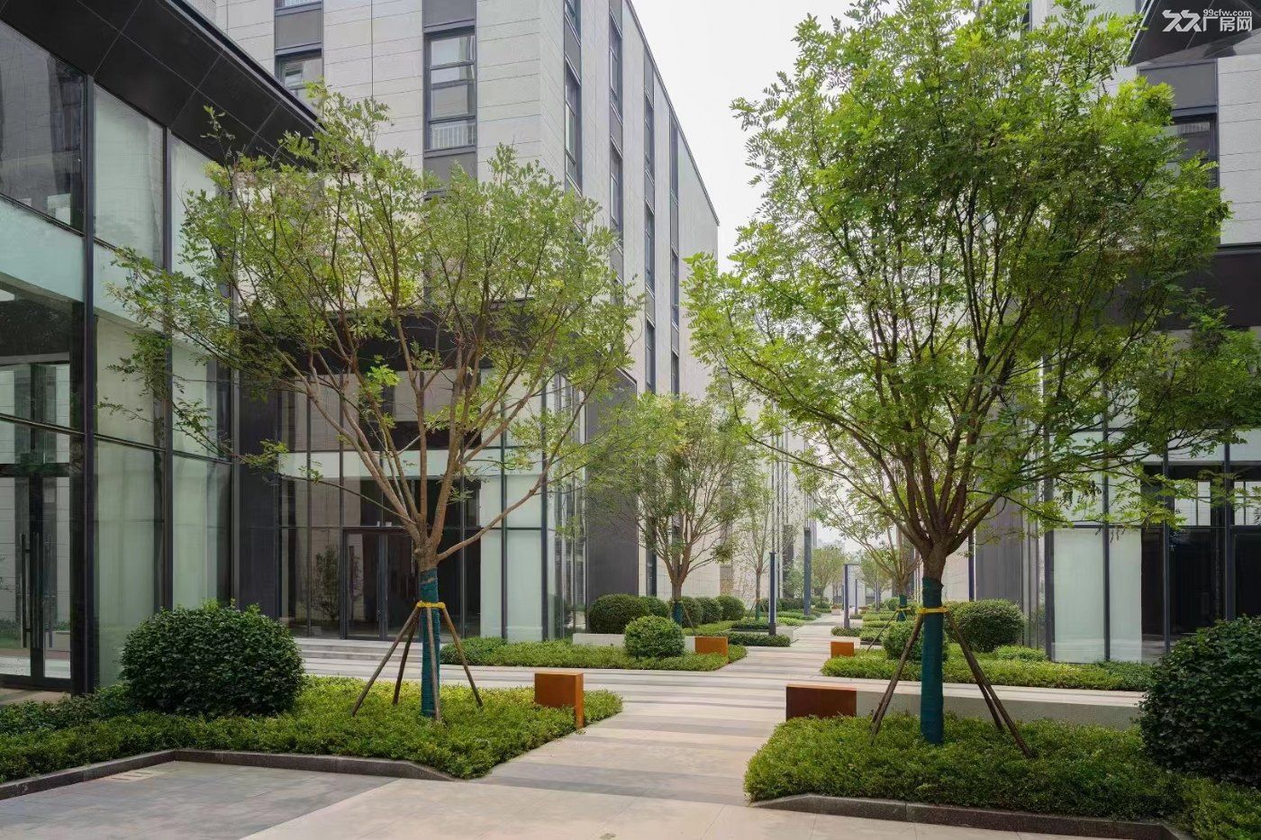 出售|张店西区企业办公独栋 一户一证 50年大产权 - 5