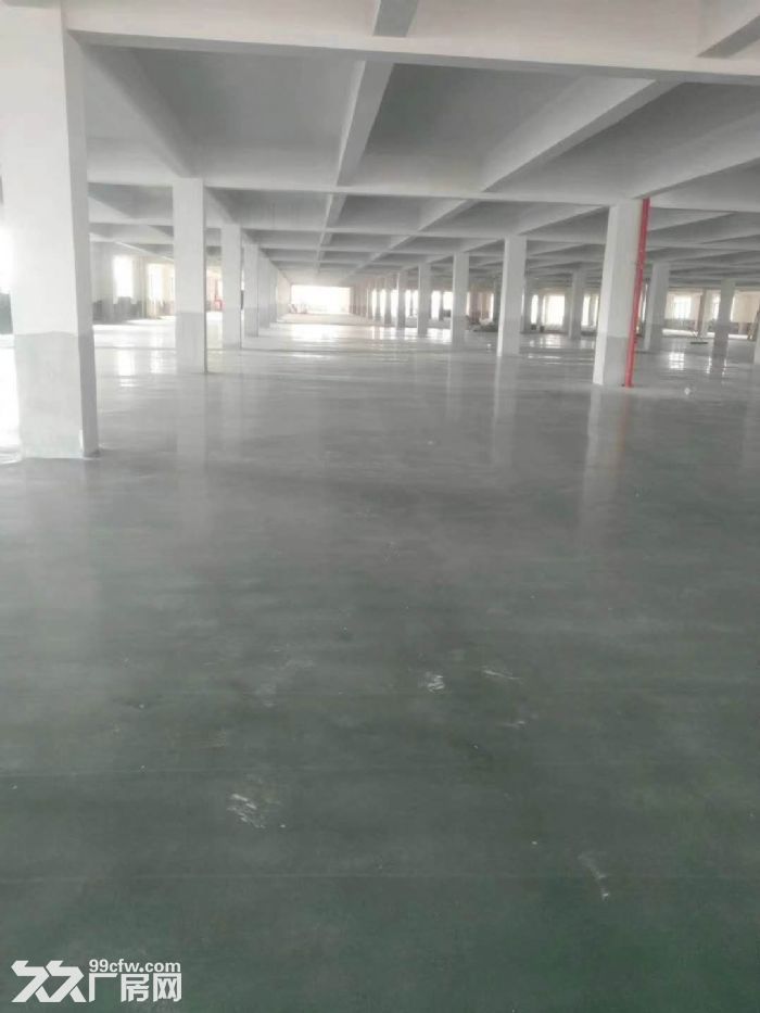 专业代理江门蓬江荷塘镇各村工业区厂房仓库土地租售业务 - 4