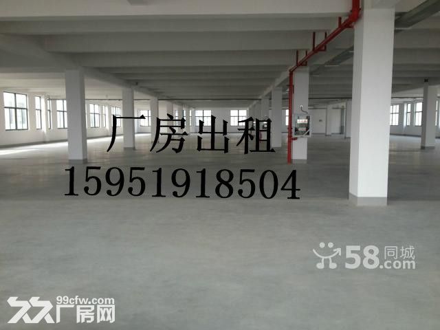 东善桥多处厂房出租,面积700--2