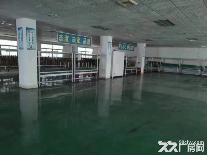 新出超靓独院厂房7800平米 - 8