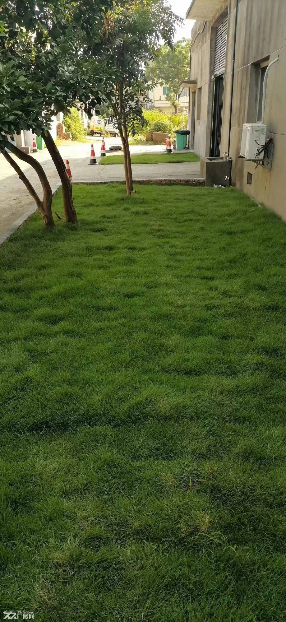 出租 店铺 住宅 厂房 或仓库