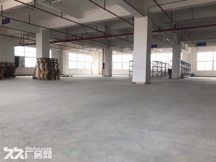 公明大型工业园楼上1000平米实际面积出租 - 3