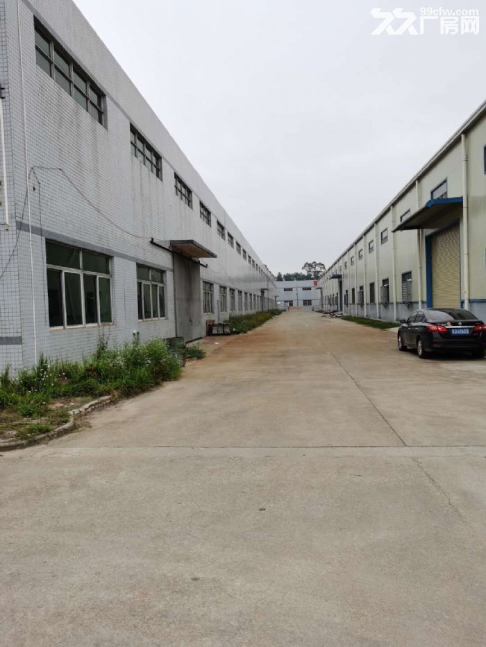 台山工业新城独院单一层厂房1000平方招租 - 7