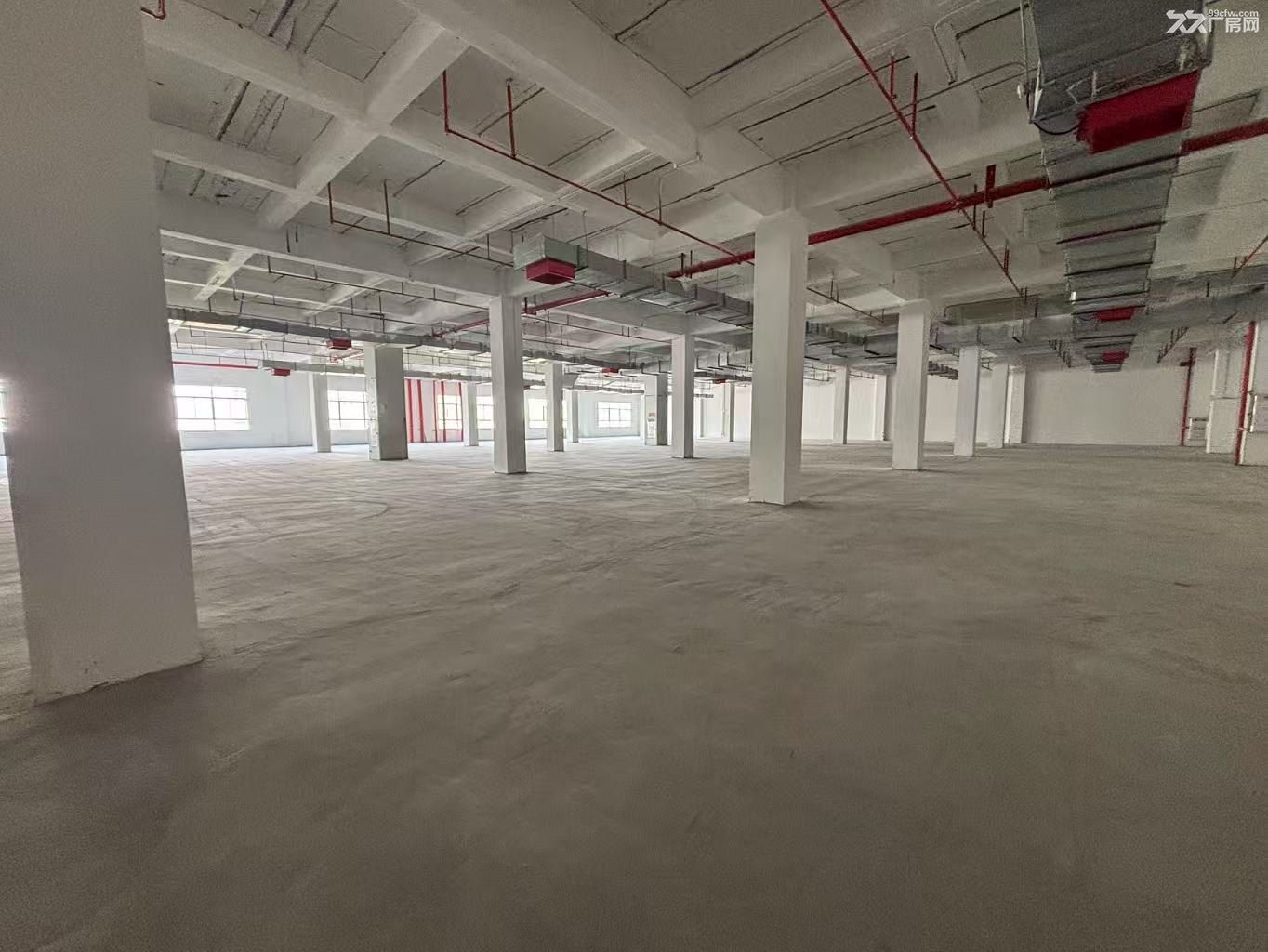 云埔街道全新厂房18元起，6米层高，空地超大，环评无忧，可分租可整租 - 5