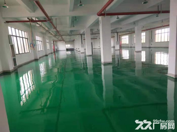 您租到厂房后地面肯定要处理 - 2