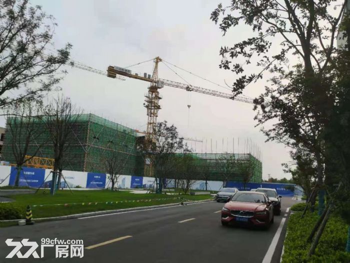 电子信息产业园,可排污,配套齐全 - 6