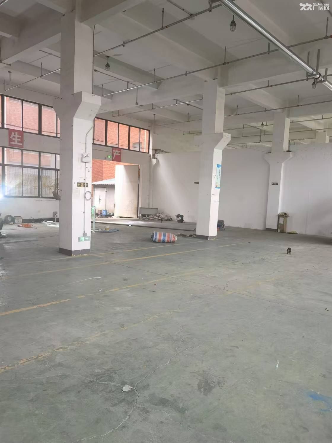 三灶园区360平大房东厂房出租可生产加工104板块可办环评 - 5