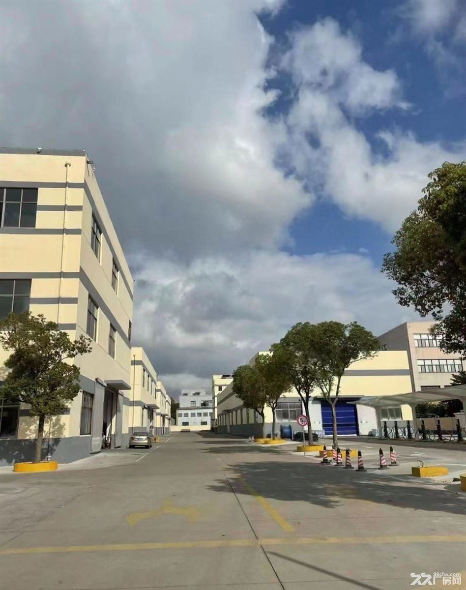 物业出租:青浦新空910平厂房 仓库 靠近赵巷地铁 位置佳 形象好 - 6