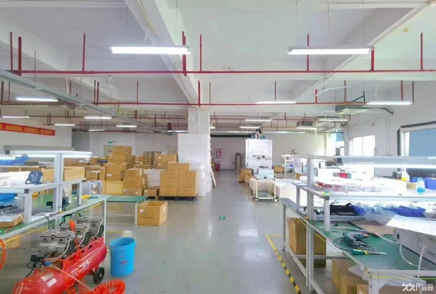 深圳沙井新桥楼上一整层2500平带豪华装修不需要转让费出租 - 5