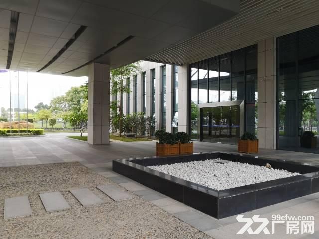 光明新出全新带红本高新产业园出租招租 - 2
