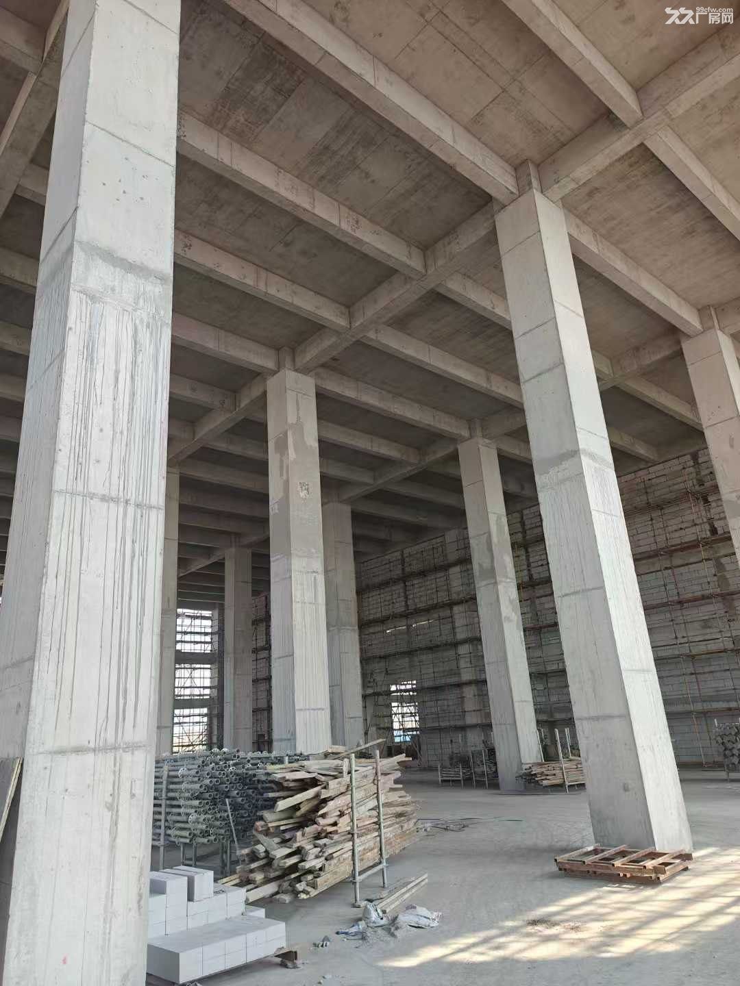 (单价三千多低密度厂房)面积1200-6000可选,过江大桥口,交通便利