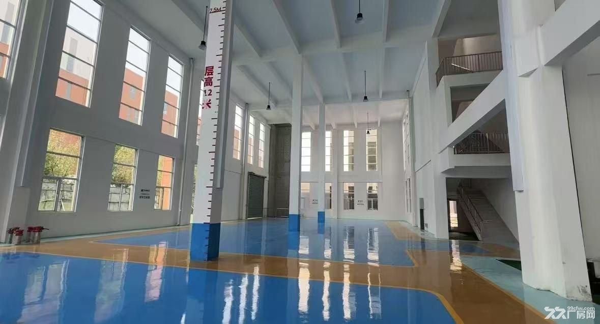 独栋花园厂房 温江旁二绕旁 独立产权全新厂房 - 2