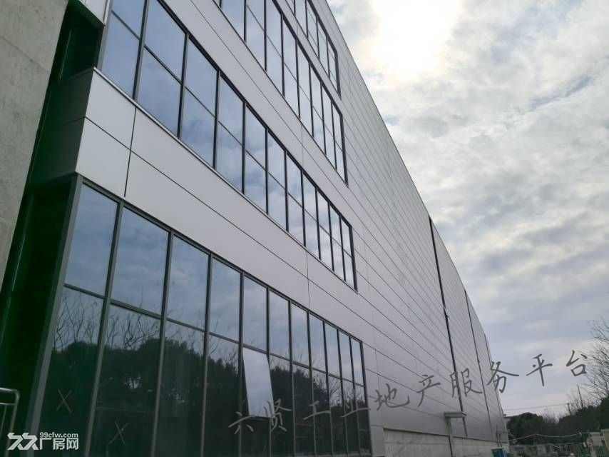 出租金山区全新高标库 - 3