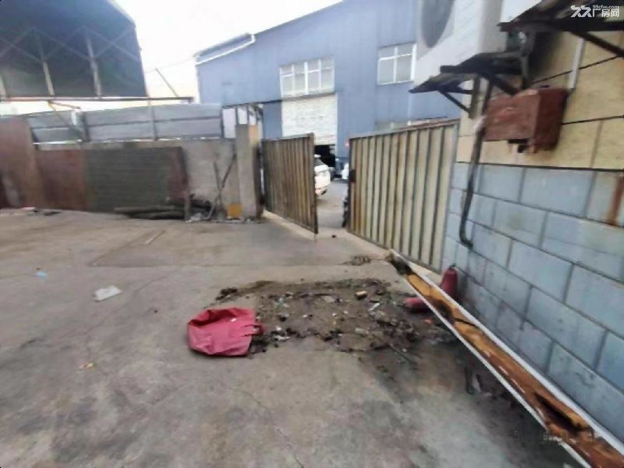 房东出租:黄渡 200平独门独院 院子有雨棚 行业不限 - 6