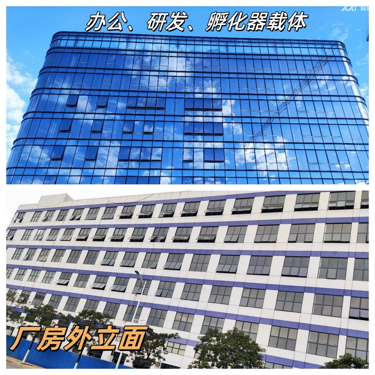 全新国有二类红本产权花园式厂房出租 - 2