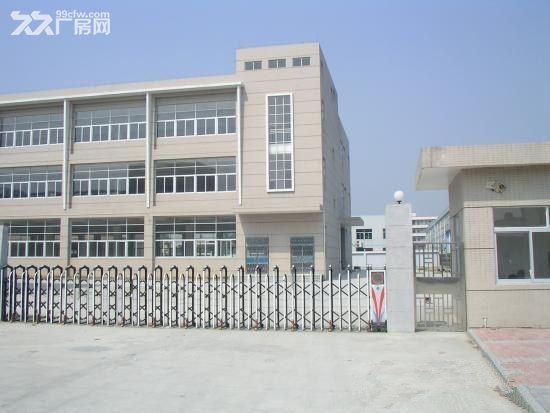 惠城区三栋惠南大道边单一层9米高钢构5300平方出租 - 6