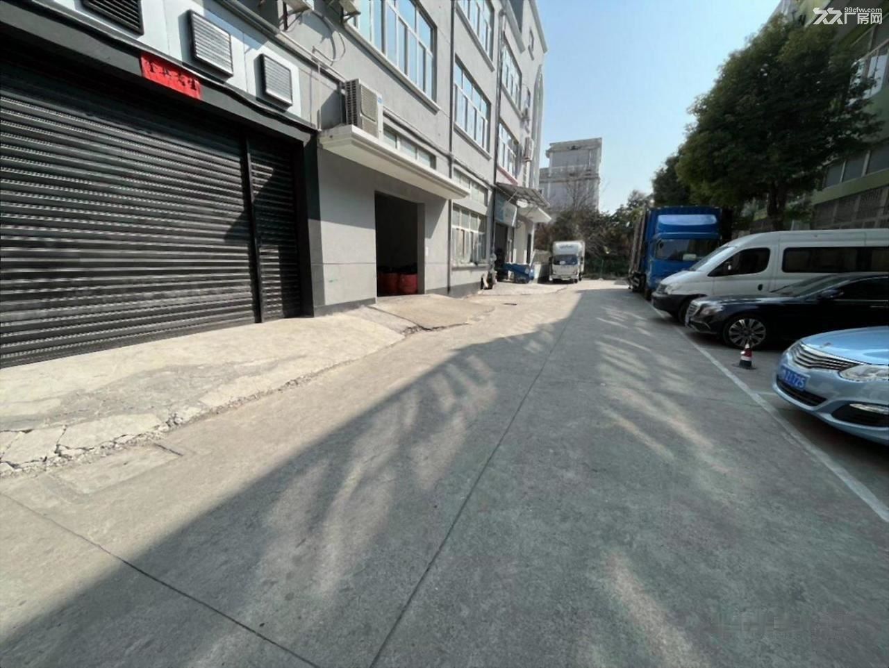 普陀一楼245平适合贸易电商服装食品电子设备组装仓储冷库 - 7