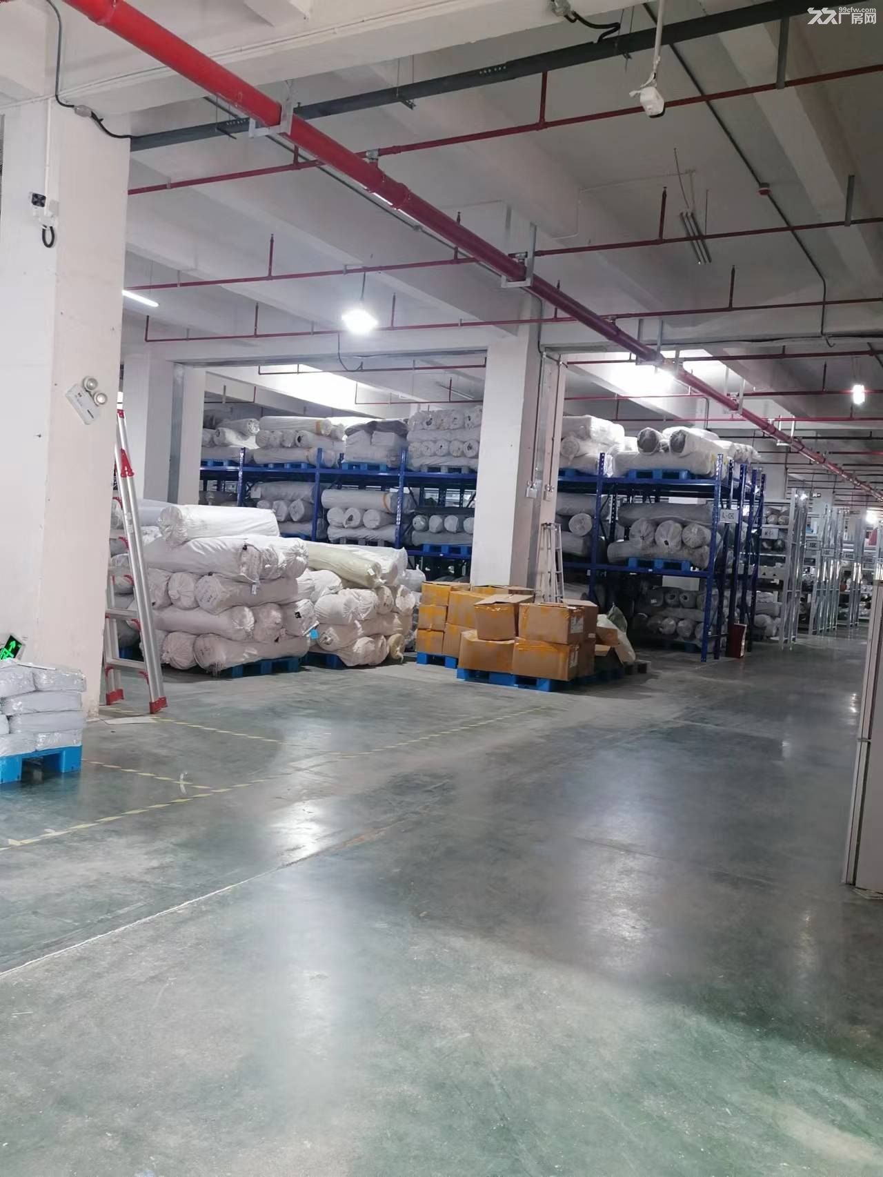 上海路周边 全新标准框架厂房 火热招租!! - 7