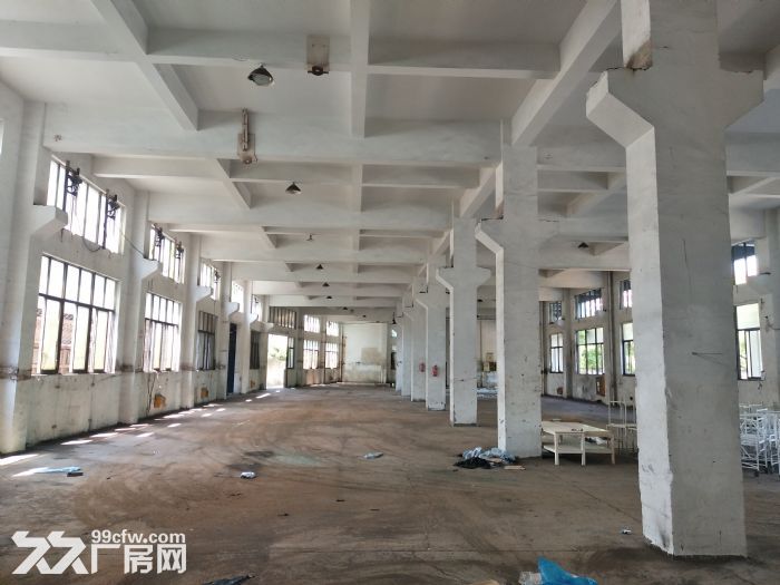 炬光园工业区1楼1200平方 适合各行业入驻 可用 - 5