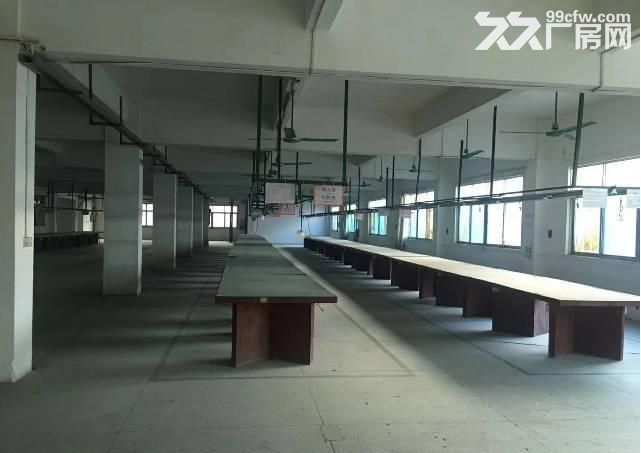 花都工业区独院标准厂房出租,大路边,6400平, 可分租,带红本 - 3