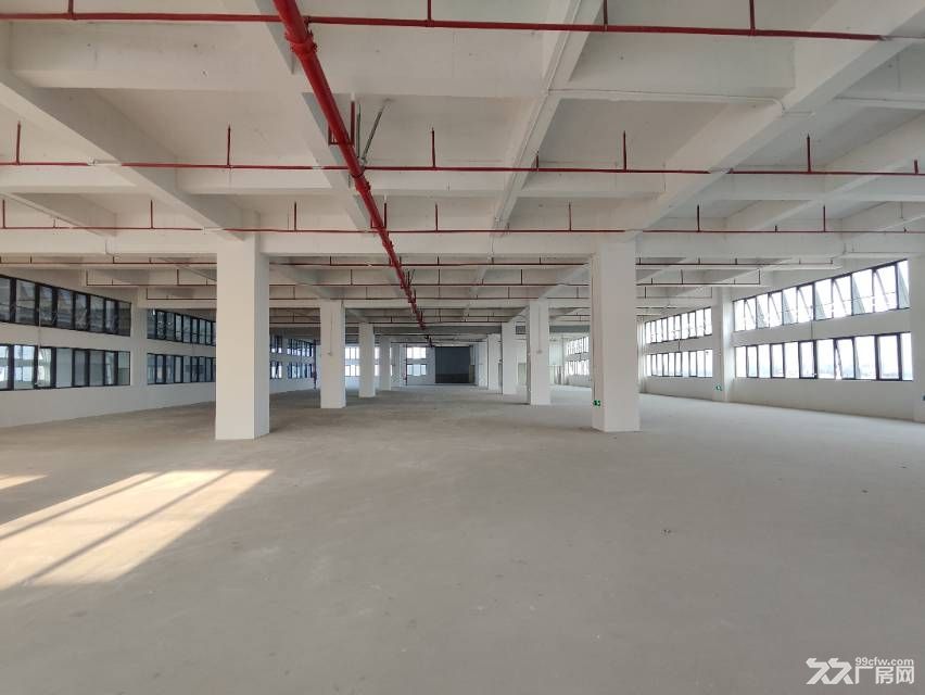 寮步新建重工业厂房13500平方厂房出租单层2680平方分租 - 8