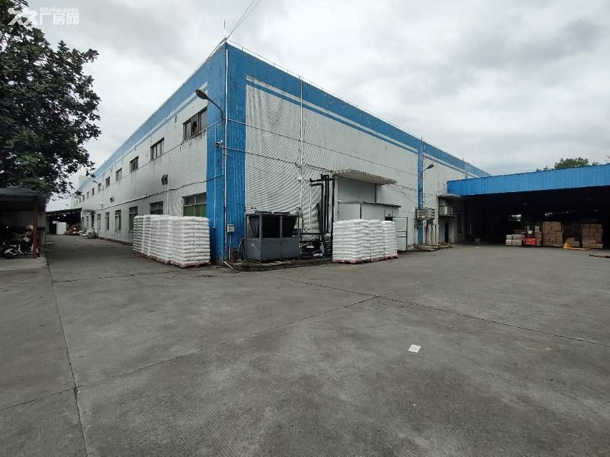 5600 方,大路边,形象好,单层独院狮山工业园厂房 - 3