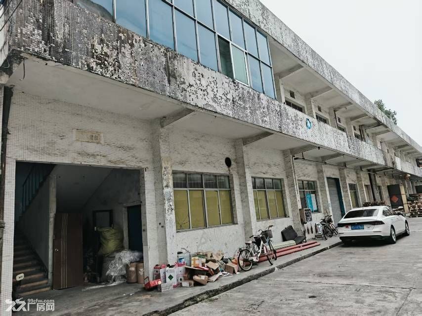 黄埔区云埔超实惠办公室厂房出租 - 2