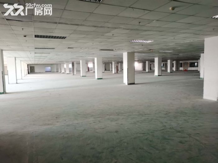 AA苏虹东路二楼6000平标准厂房  精装办公室 灵活分租 - 3