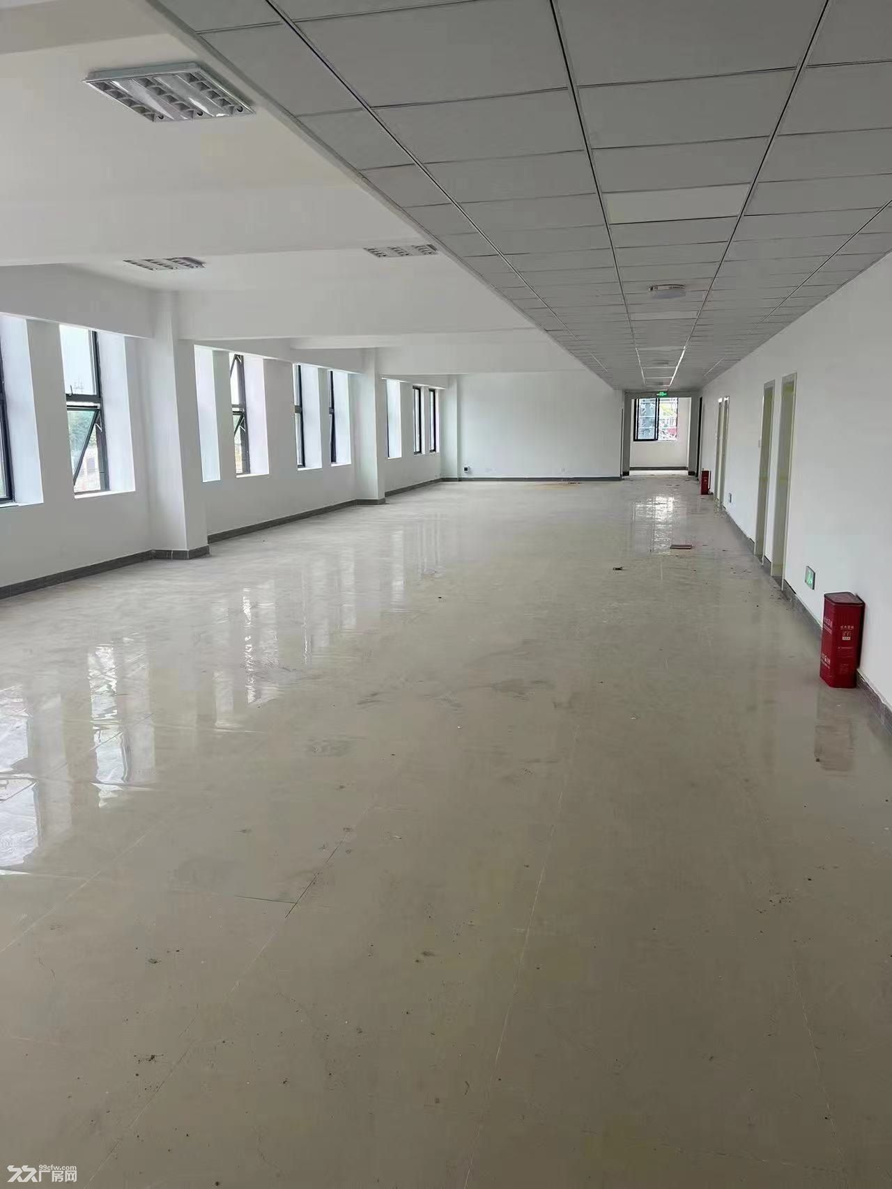 蒲江工业园区17000平全新标准厂房出租可分租 - 4