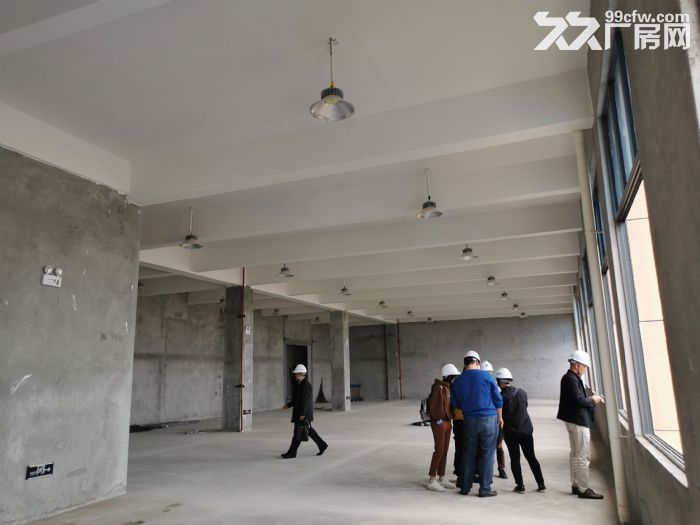 高新区2500平标准厂房出售可分割,50年产权6米层高有一楼 - 3