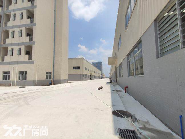 博罗石湾产业园独院单一层钢构厂房57000平，原房东，可分租，空地大 - 2