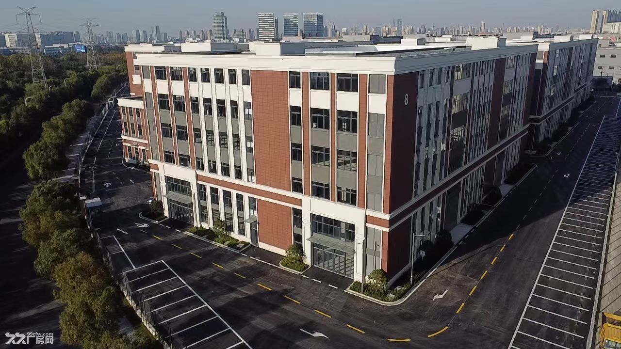青洋路高架旁 首层11.4米 二层8.1米 新建国土厂房出售 现房 - 5