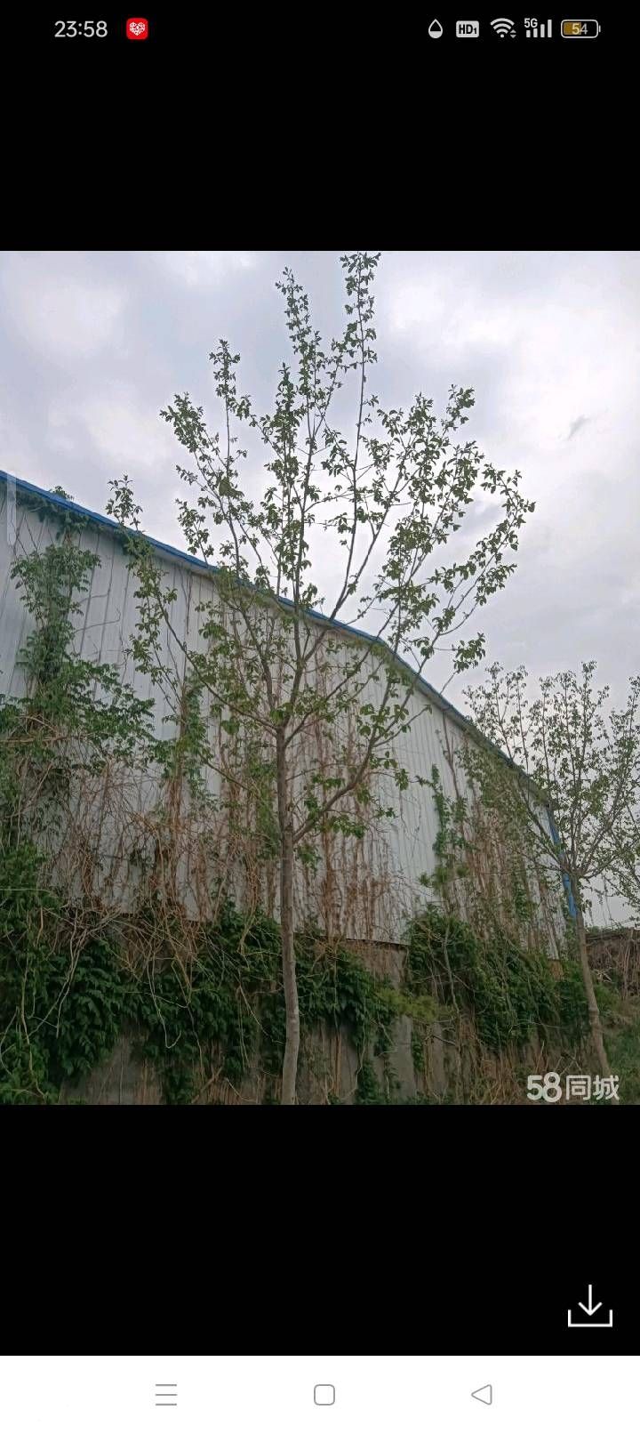 山东省泰安市岱岳区祝阳镇十字路口东八公里处大院厂房出租