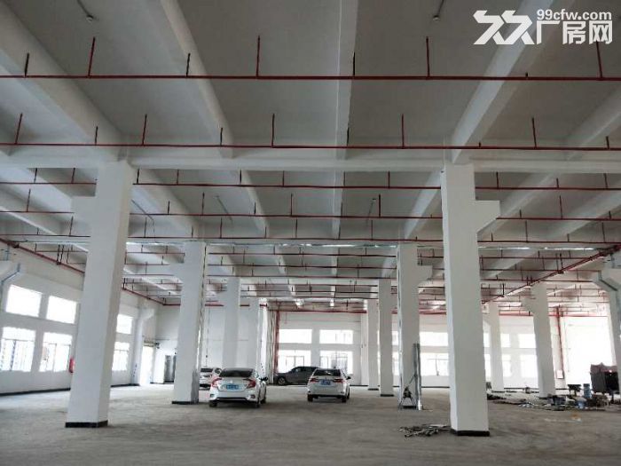 东莞市凤岗镇独门独院厂房出租2万平 可分租 - 4