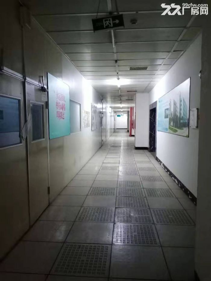 A苏虹西路2000平标准厂房 空地大 车位充足 - 4