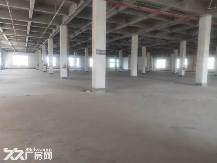高明明城(不拆迁)经典独栋厂房6000平,可分租,空地大,可进大车 - 3