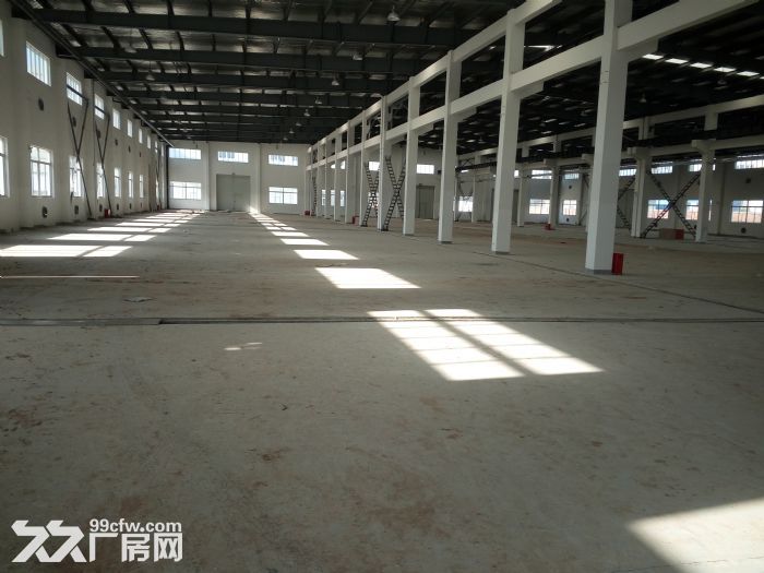滨江开发区5000平方米单层厂房出租， 电630kva,标准 - 2