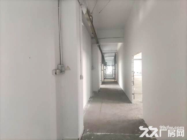 龙岗新出楼上厂房2000平，可分租，空地超大，有4吨货梯 - 4