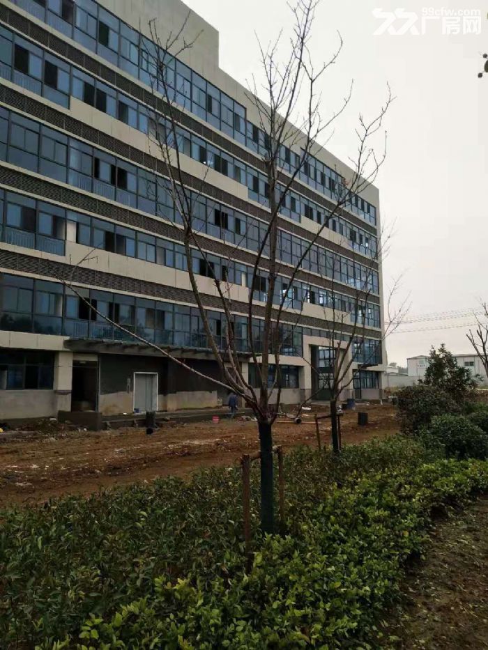 徐州市铜山区高标准厂房出租 - 5